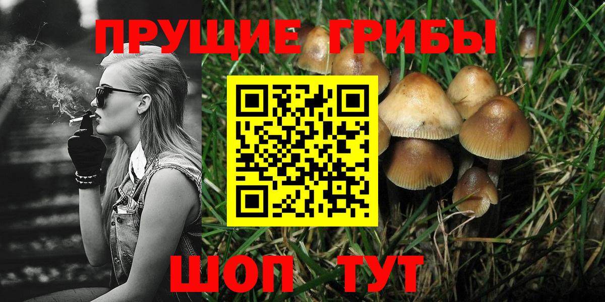 Галлюциногенные грибы Psilocybe Видное